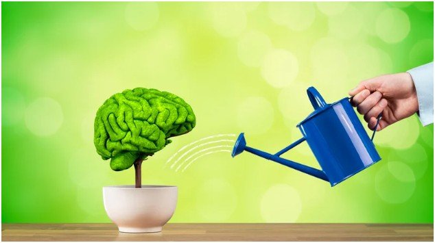 Why Do Small Daily Habits Make the Biggest Difference?